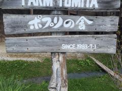 -富田农场