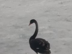 -圆明园停车场