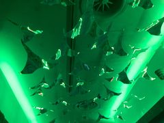 -沈阳海洋探索中心