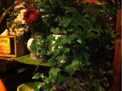 iphone_upload_pic-吉事利茶餐厅