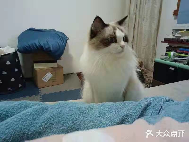 每次都看它一脸享受的样子，哈