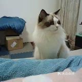 每次都看它一脸享受的样子，哈