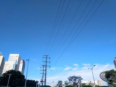 -万绿园
