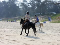 -西涌国际滨海旅游区