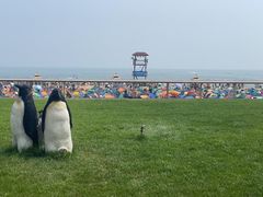 -渔岛海洋度假区