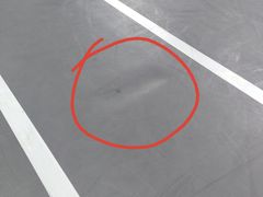 -南山科技园文体中心羽毛球馆
