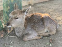 -青龙湖公园