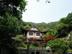 -十八棵（老龙井）御茶园(老龙井店)