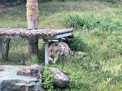 -宁波野生动物园