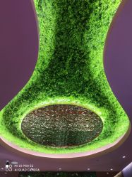 点击看大图 -花隐·美芙炫海菲秀皮肤管理中心