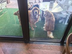 -浦鸿会尚莊亲子餐厅(碧云店)