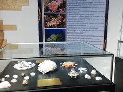 -阿尔谢尼耶夫远东历史博物馆(阿尔谢尼耶夫滨海区店)
