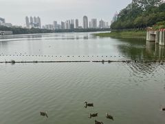 -南宁南湖公园