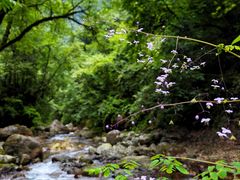 -西岭雪山大飞水景区