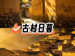 -杨家堂村