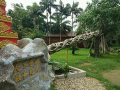 -瑞丽独树成林风景区