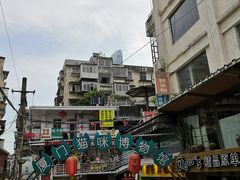 -猫咪博物馆(顶澳仔猫街店)
