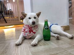 -星巴克(武汉招商公园1872店)
