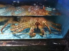 -渔傅·蓝海岸霞浦海鲜(正祥店)