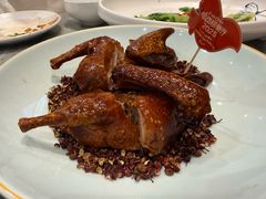 -朱记乳鸽王·非遗石岐乳鸽·全鸽宴(大兴旗舰店)