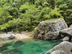 -石台牯牛降景区