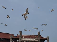 -八仙过海景区