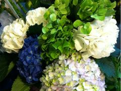 -静岸花卉园艺(三星坊店)