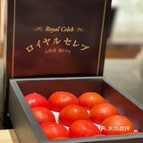 YAKIHATO宫田｜上海烧鸽子料理