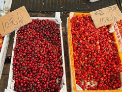 -重振华中蔬菜批发市场(重庆中路店)