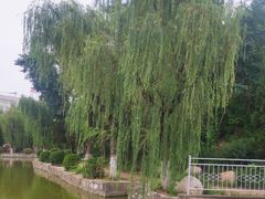 -咸阳湖景区-古渡公园