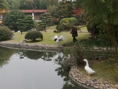 -西郊宾馆·1921餐厅