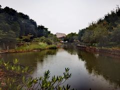 -映月湖公园