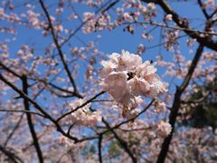 -静安雕塑公园