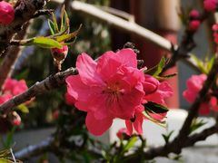 -李叔同故居纪念馆