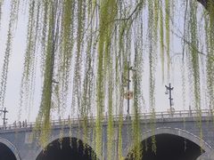 -西安曲江寒窑遗址公园