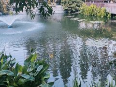 -郑和公园