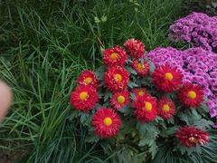 -杭州植物园
