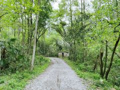 -青龙山国家森林公园