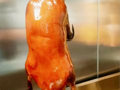 -普天和酒楼·新津菜·烤鸭(天津之眼店)