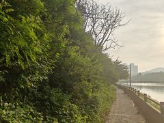 -前关湿地公园