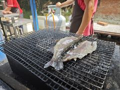 -可心烤鱼