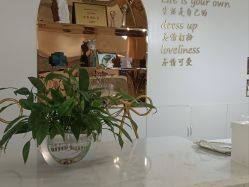 -石家庄苏亚美联臣医疗美容医院