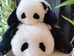 -轩客会(熊猫书店)