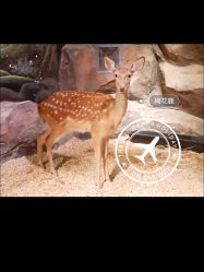 -欢乐舟·舟舟玩乐园