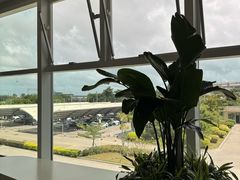 -福州长乐国际机场