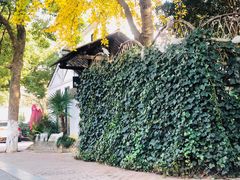 -兴福老面馆(寺路街店)