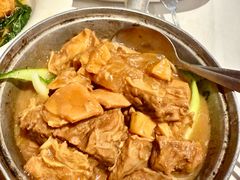 -食为先(Shark Fin)