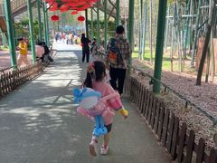 -陶祖圣境风景区