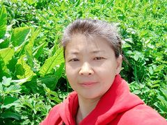 -新疆那拉提国家旅游度假区
