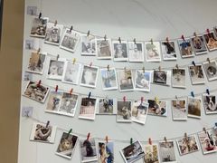 -瑞派康怡24h宠物医院·犬猫医疗中心·微创绝育(瑞景分院)